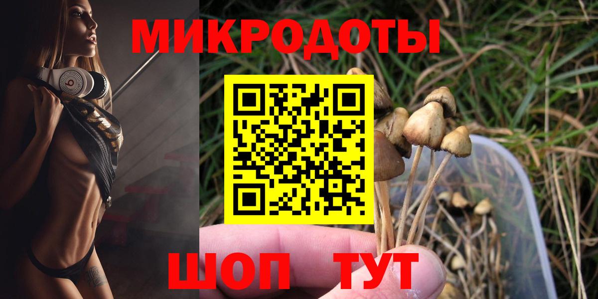 Ленинск-Кузнецкий  Псилоцибиновые грибы Psilocybine cubensis  где купить   Вход с VPN 